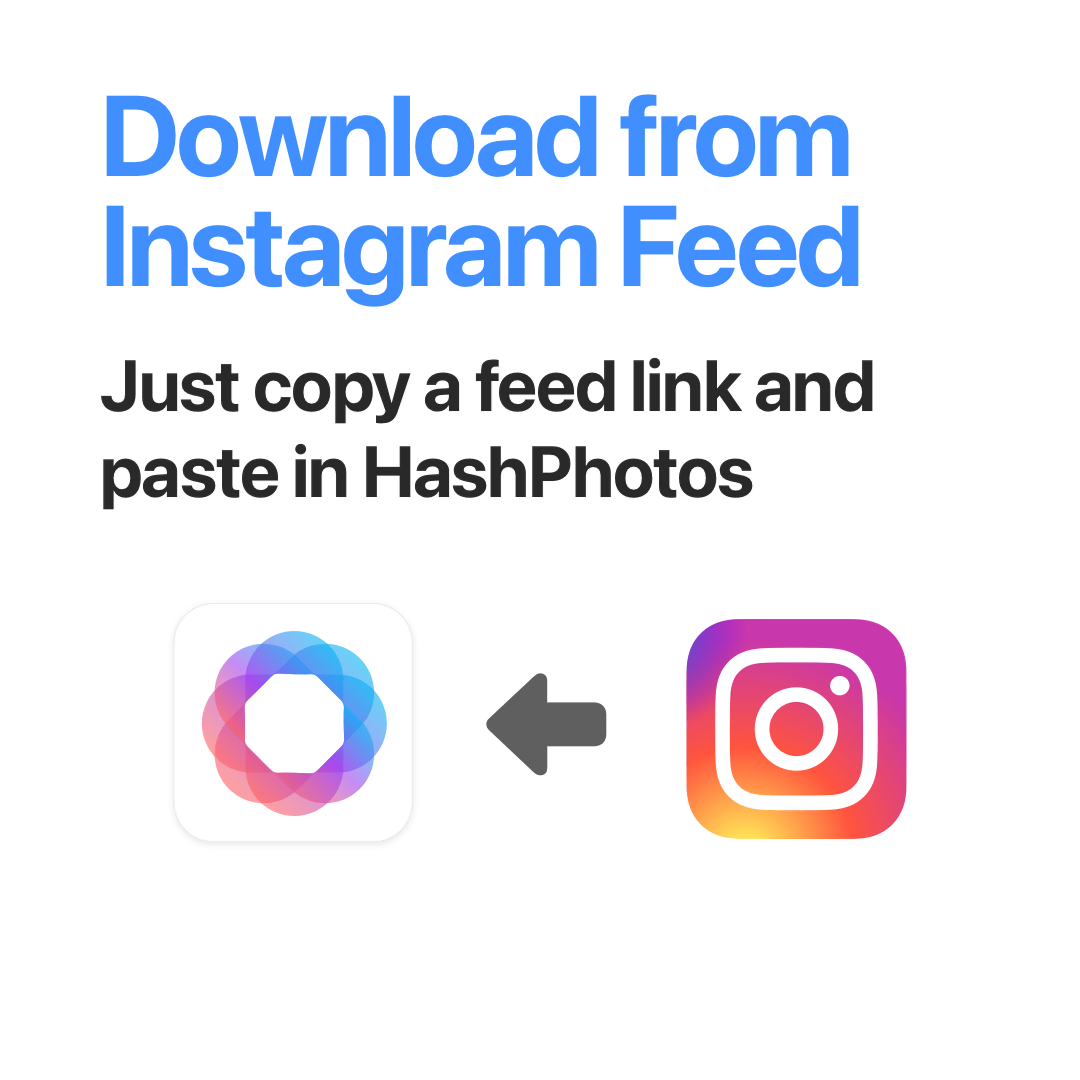 Download image or video from Instagrm Feed - Just copy a feed link and paste in HashPhotos