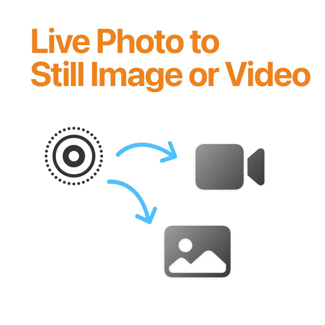 Live Photo to Still Image or Video