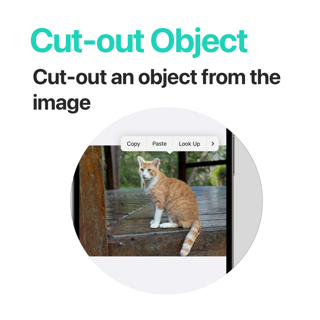 Cut-out Object - Cut-out an object from the image