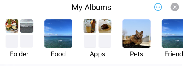Album Bar in a Viewer