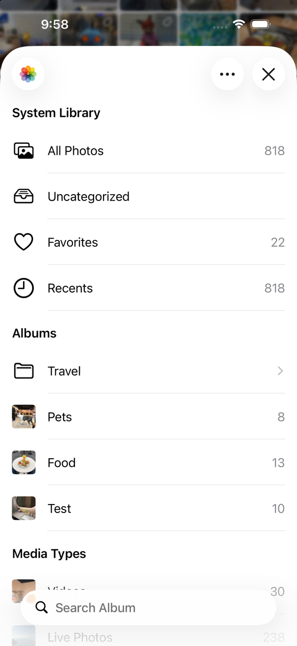 Album Picker List