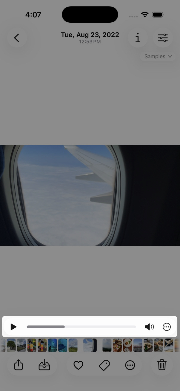 Video Control bar in the viewer