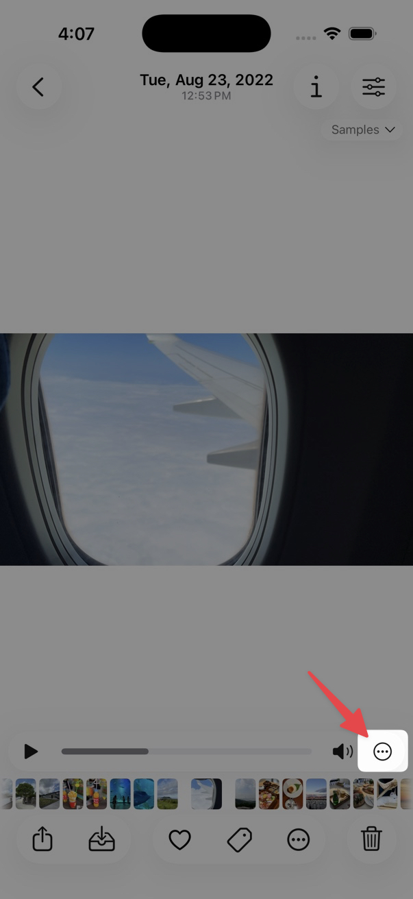 … button on the Video Control bar