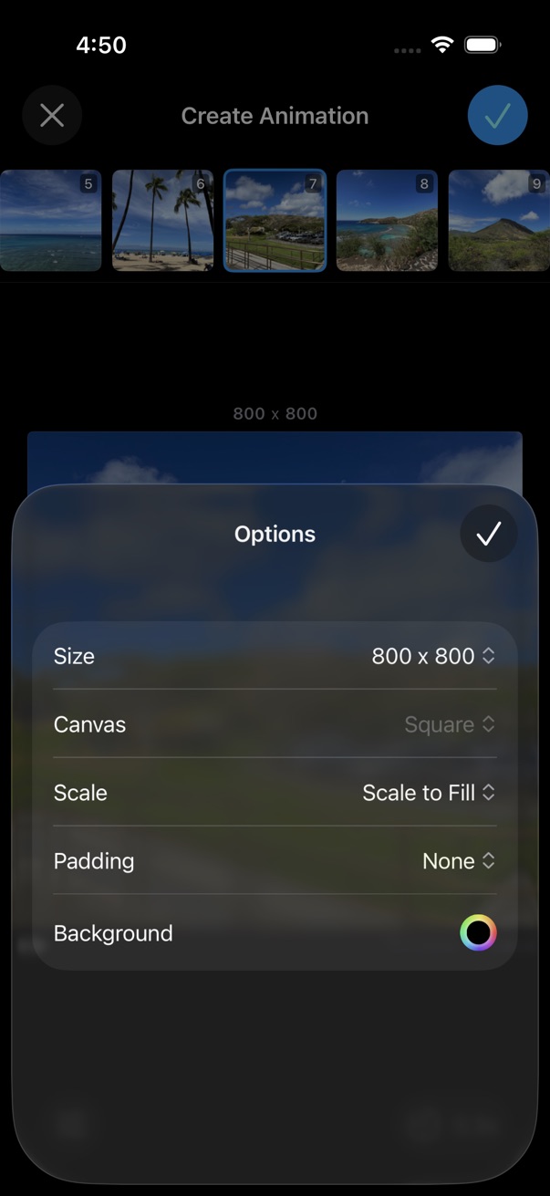 Create Animated Image Options