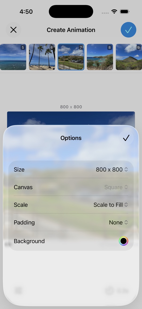 Create Animated Image Options