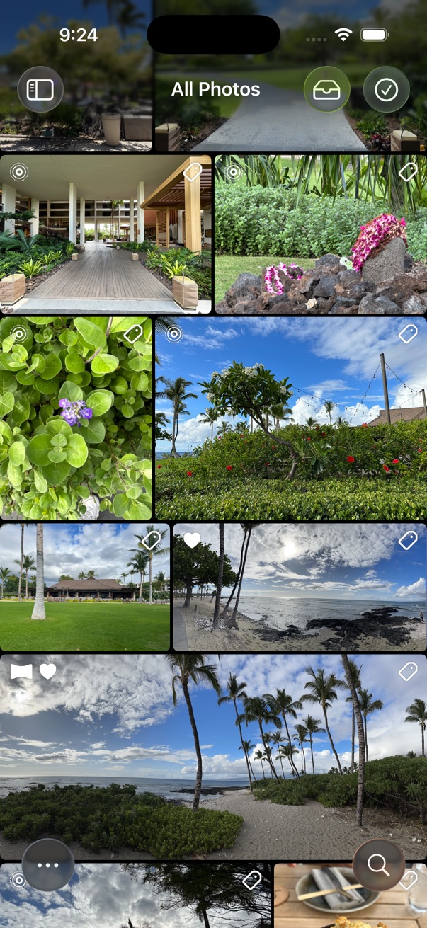 Natural Layout Style