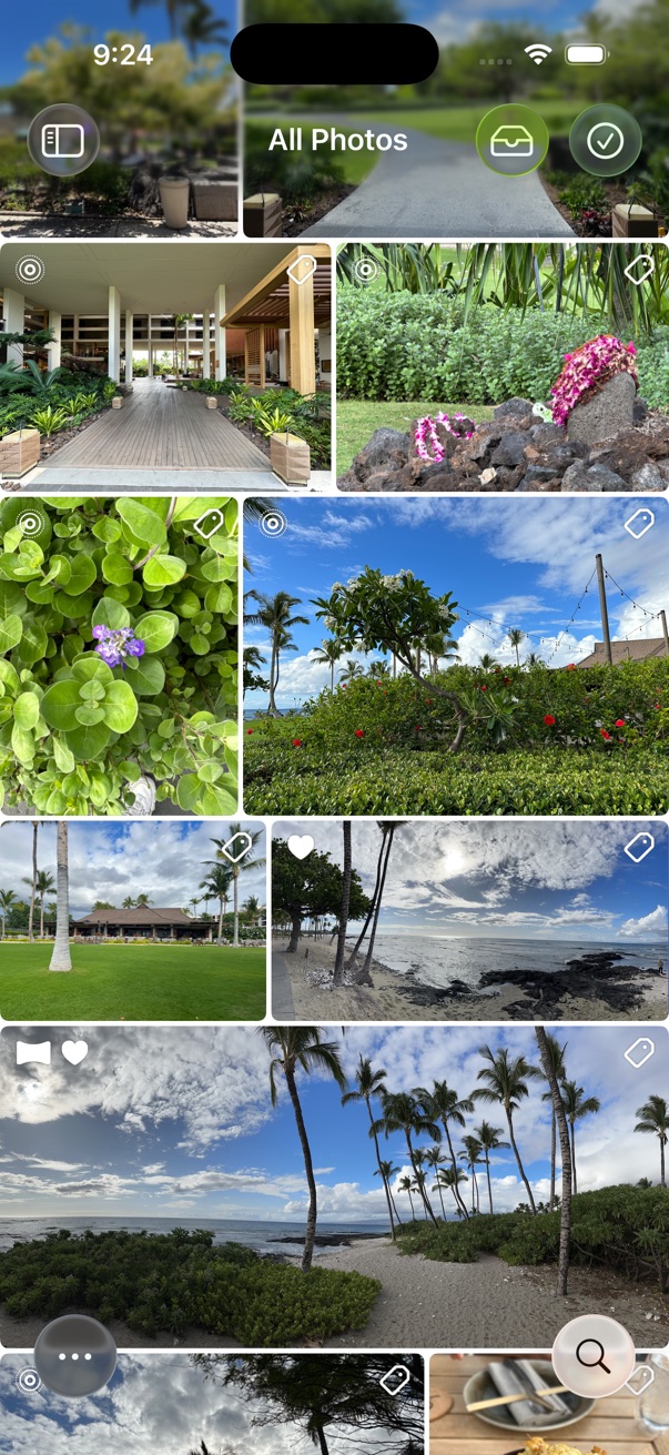 Natural Layout Style