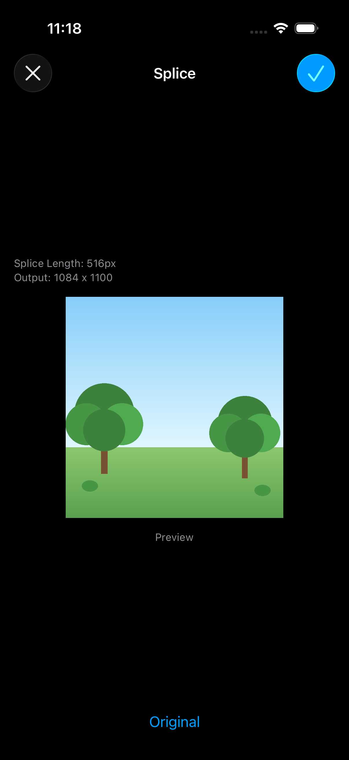 Splice Image - Result