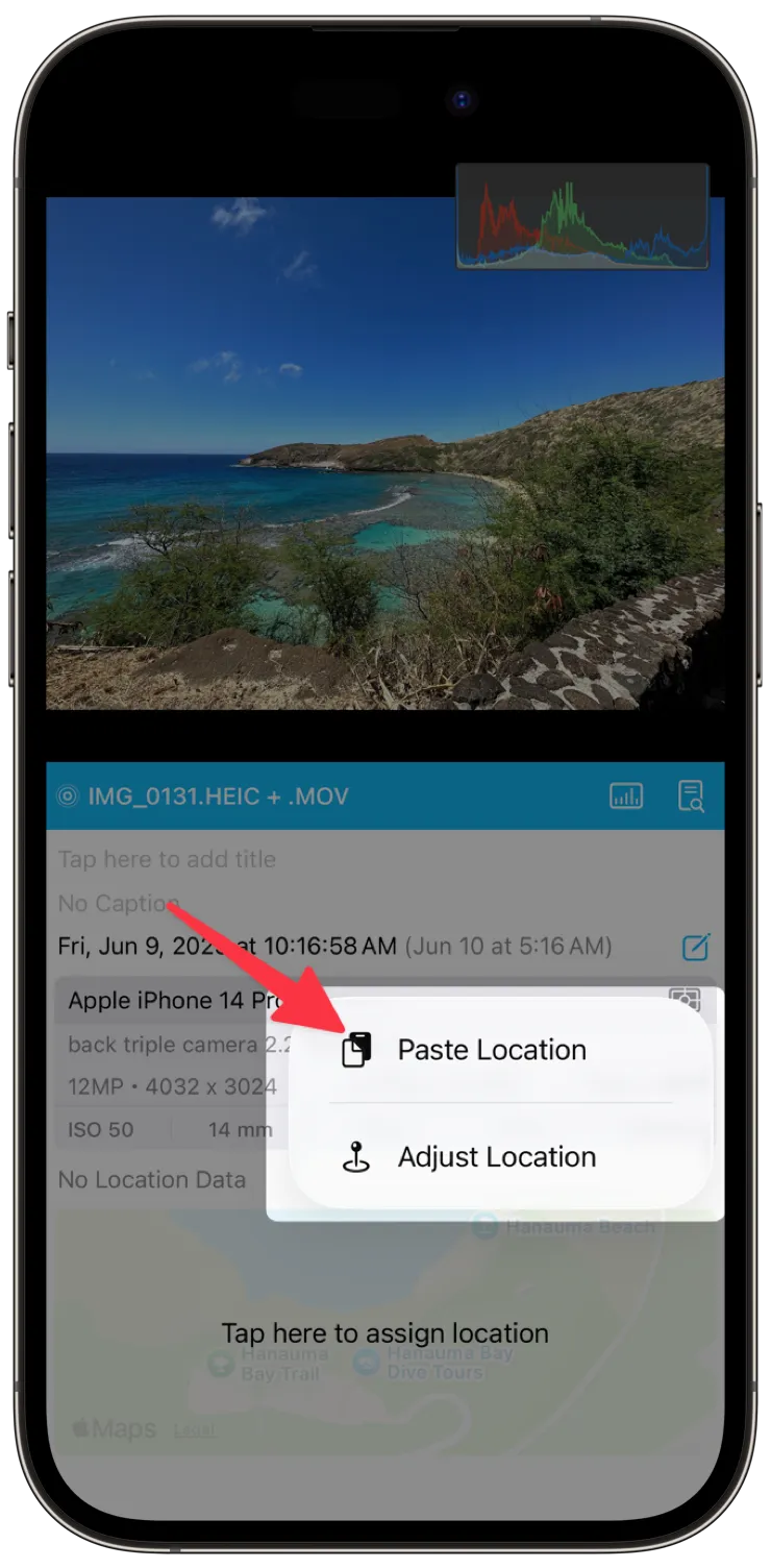 Paste Location
